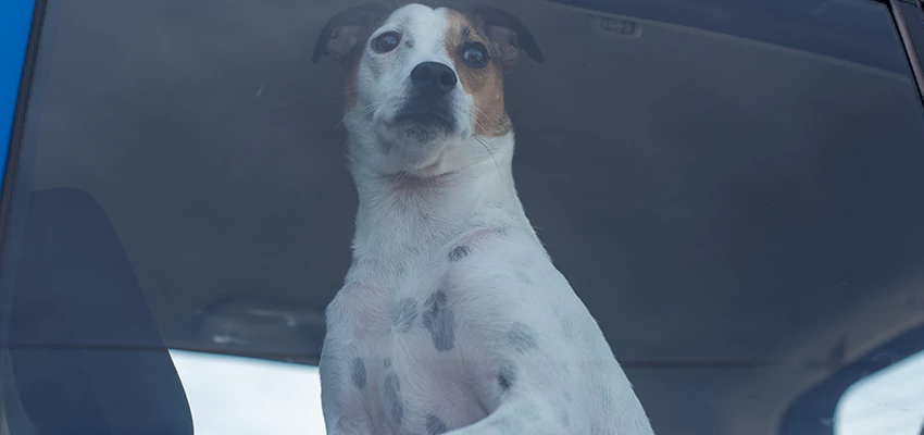 Car Lockout Solutions in Benicia, California